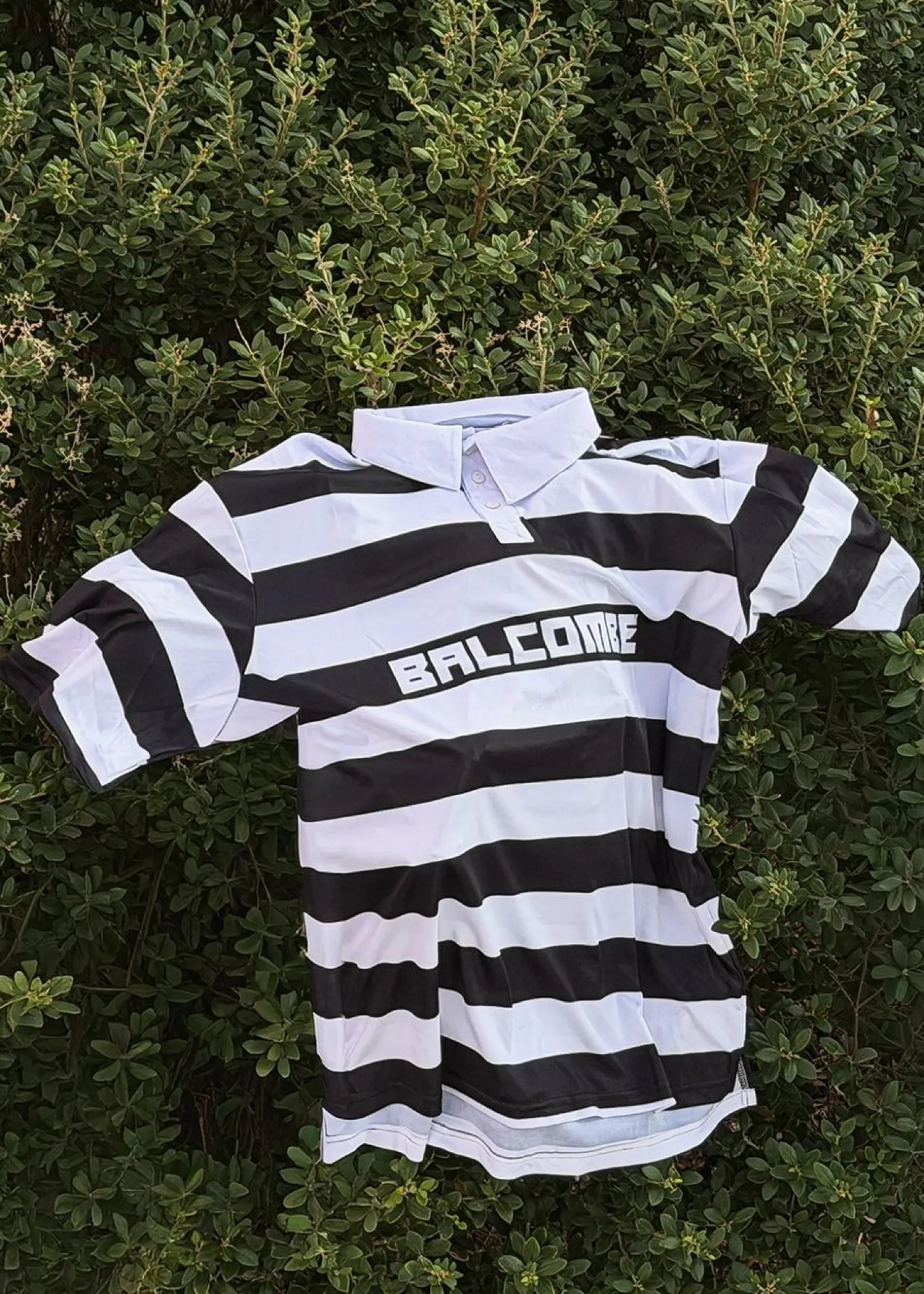 BALCOMBE URSUS