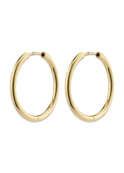 Pilgrim APRIL small hoop earrings gold-plated