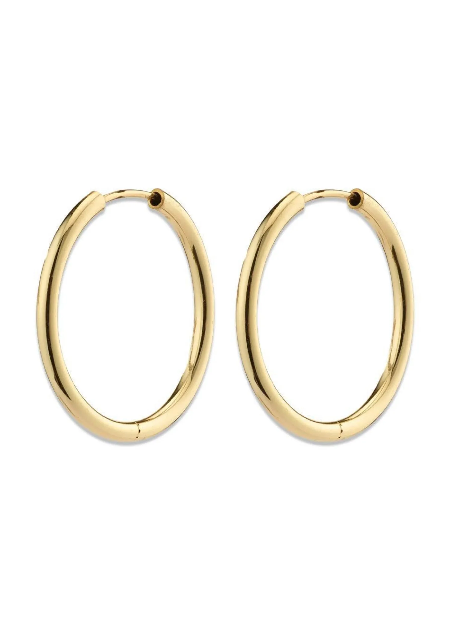 Pilgrim APRIL small hoop earrings gold-plated